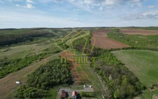 Casa de vacanta cu teren si padure de 3.8ha | Nadas | Herneacova - Poză 5