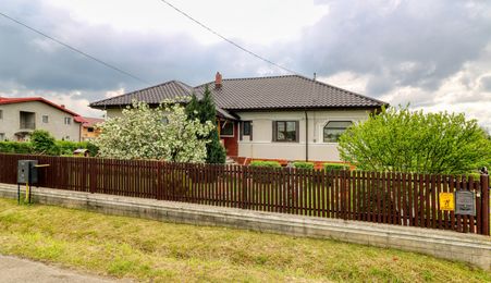 Casă boierească  de poveste- 7000 mp teren