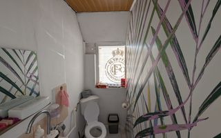 Vanzare Casa Dragomirești-Vale, Ilfov - Curte Mare, Oportunitate - Poză 11