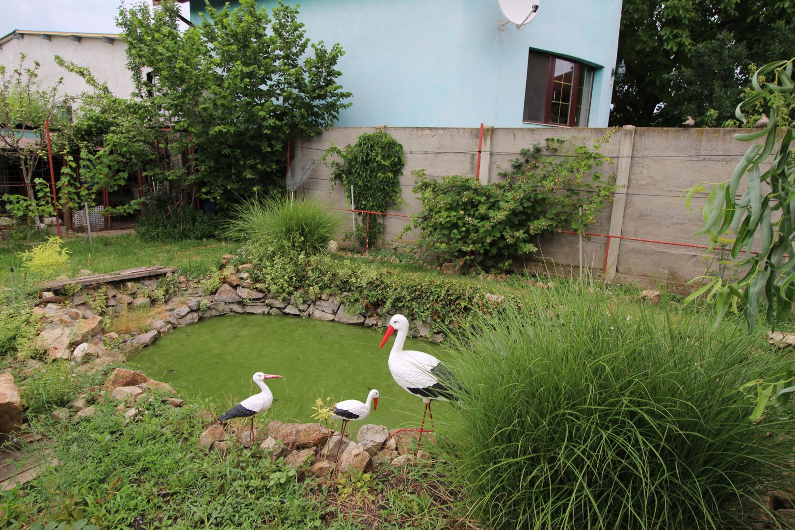 CASA CU TEREN MARE IN ZONA MEHALA - Poză 11