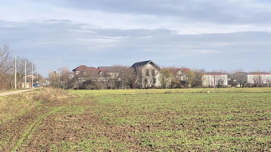 Afumati - Str. Iasomiei, 2409 MP, stradal, intravilan, deschidere 12 m - Poză 15