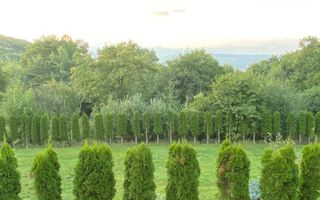 Vanzare teren 3000 mp, cabana, zona D D Rosca, Faget - Poză 4