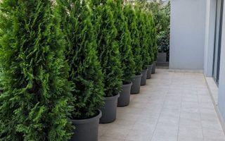 3 camere | Parter terasă 27 mp | Barbu Văcărescu | 2 parcări - Poză 12