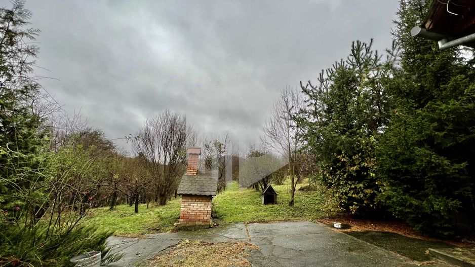 Teren cu livada+ casa de vanzare in Talmacel- 4000 mp - Poză 13