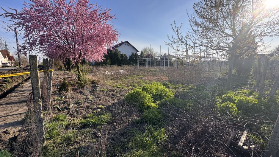 Teren Intravilan Becicherecu Mic 750mp,F.S 19ml,Utilitati,Asfalt - Poză 2