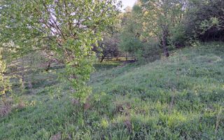 Teren extravilan de vanzare, Bistrita Bargaului- 10 minute de Colibita - Poză 17