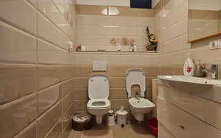 Casă individuala cu 5 camere, 270 mp, Tractorul - Coresi - Poză 12