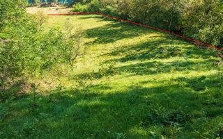 Teren | Intravilan | 2439 MPU | Fântânele - Poză 6