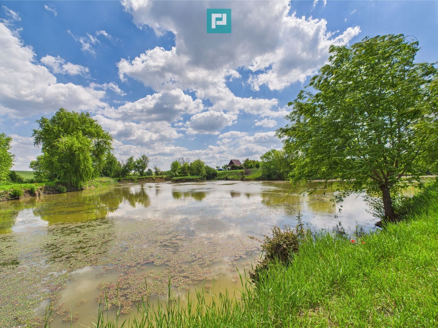 Teren cu baltă- oportunități multiple la Fibiș - Poză 23