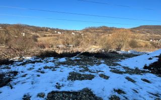 De vanzare teren valea ghinzii - Poză 3