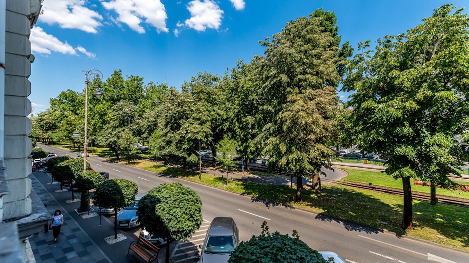 Apartament istoric pe Bulevardul Revoluției - Poză 5