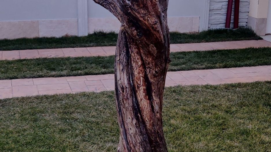 CASA INDIVIDUALA 4 CAMERE IN SAG - ZONA MANASTIRE - Poză 18