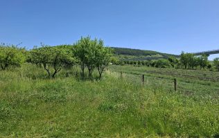 Teren de vanzare in Valcele