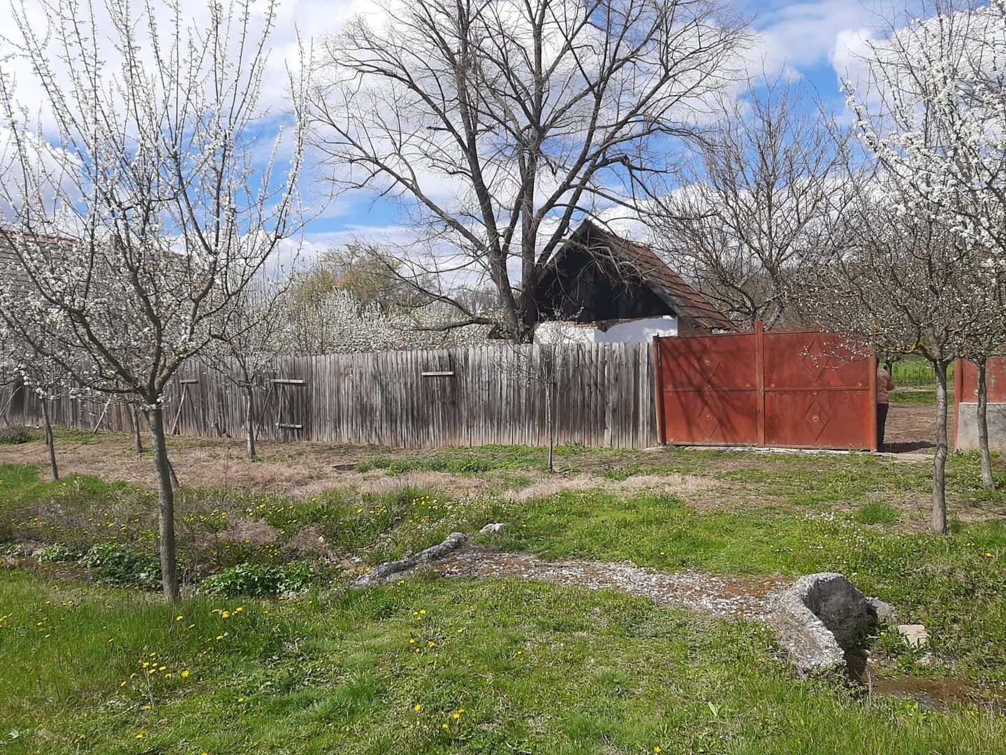 Casă cu teren generos la Bodo - Poză 2