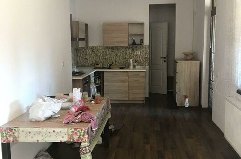 De inchiriat Casa Semidecomandata curte proprie cu 2 fronturi zona Uta - Poză 2