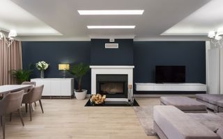 Theodor Pallady - Ansamblu Premium - Dezvoltator - Poză 3