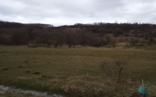 Teren intravilan Ocnele Mari | 2500mp | - Poză 6