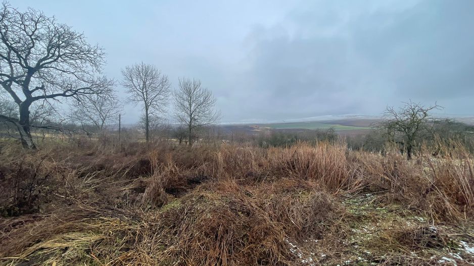 Casa Demolabila | Rediu | Teren 3278 mp | Posibiliate parcelare - Poză 6