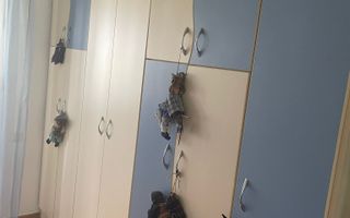 De vanzare Apartament 3 camere Matei Basarab, Calarasi, Central - Poză 13