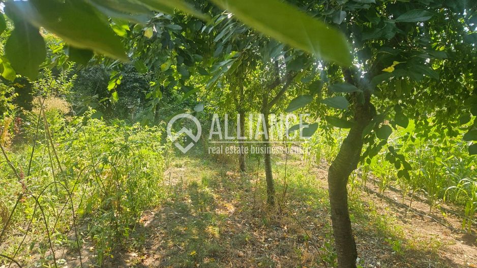 ISTRIA (COD04)-Teren intravilan 1528 mp-Constanta - Poză 4