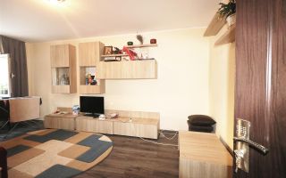 APARTAMENT 2 CAMERE DECOMANDAT NICOLINA I LIDL 310 EURO - Poză 2