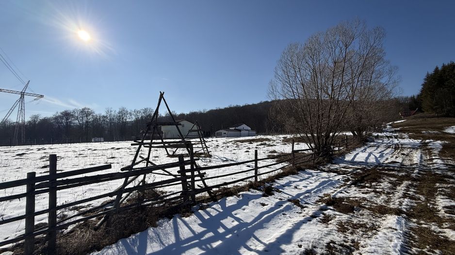 Teren intravilan 4521mp lângă pădure-valea Doftanei -Calea Brasovului - Poză 9
