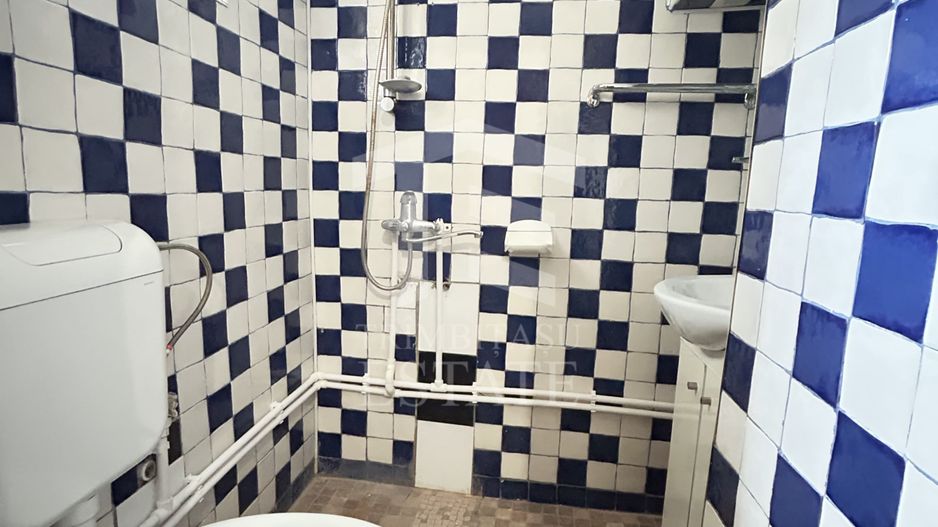 Clădire Istorică Individuală | 322mp | Pietonala Ștefan cel Mare - Poză 10