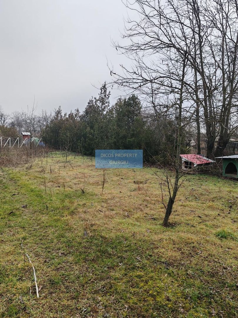Teren 2.600 mp, utilități, Str. Merișor – Giurgiu - Poză 5
