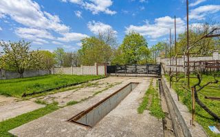 Frigider industrial funcțional 300 tone + transformator propriu | Investiție gata de operare – Speia, Anenii Noi - Poză 8