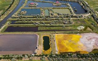 Oportunitate investitie teren Delta Dunarii, pe malul Lacului Histria - Poză 1