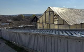 Teren de vânzare cu seră și vie în com. Belcești, jud. Iași - Poză 8