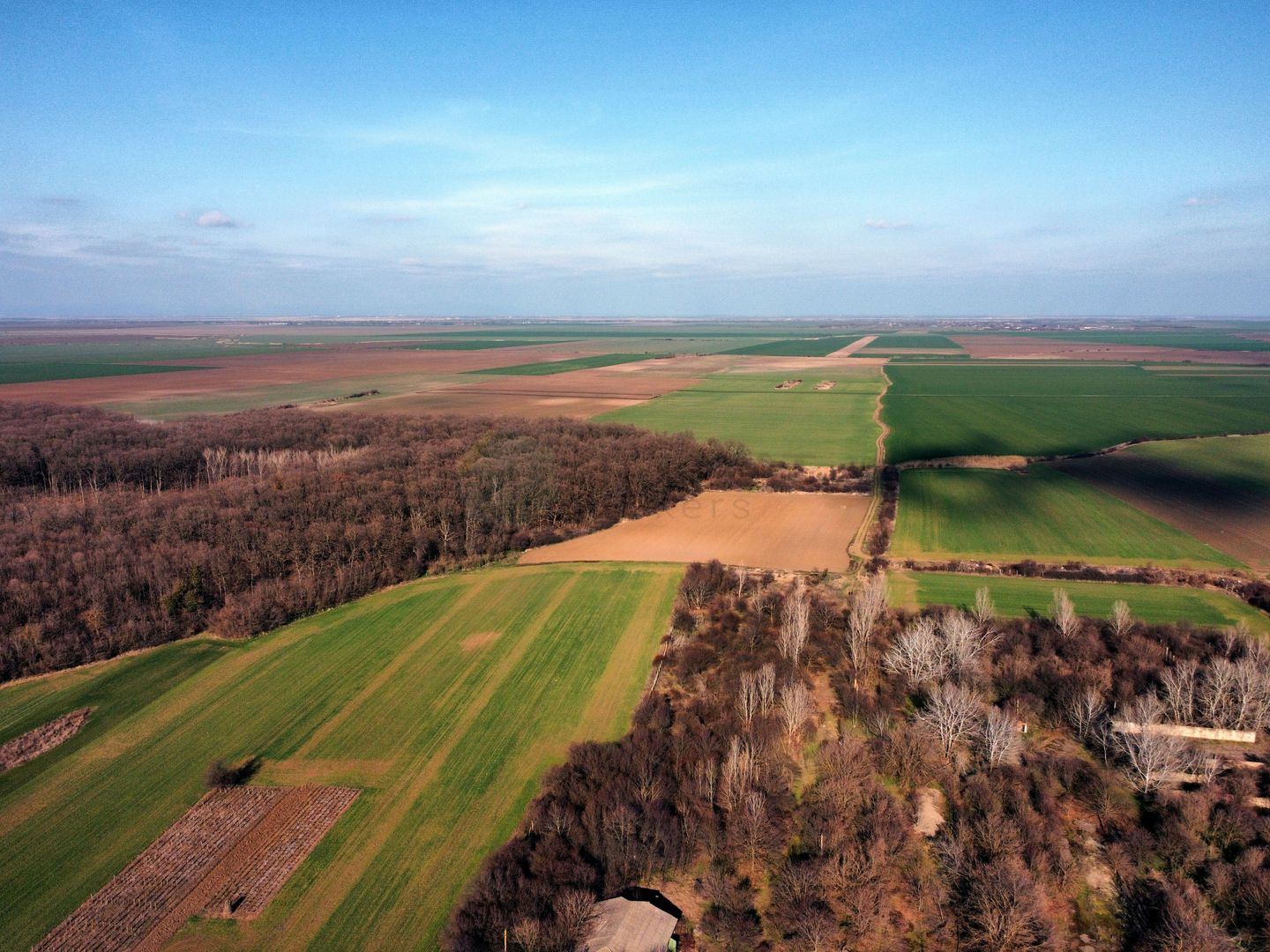 Ferma si livada de meri in judetul Ilfov - Poză 26