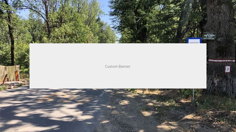 Moara Vlasiei - langa Padurea Biglaru, 11.884 mp, deschidere 40 ml - Poză 7