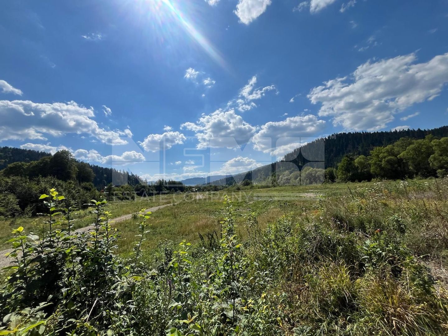 TEREN INTRAVILAN 2,26 HA | SUCEVITA | - Poză 7