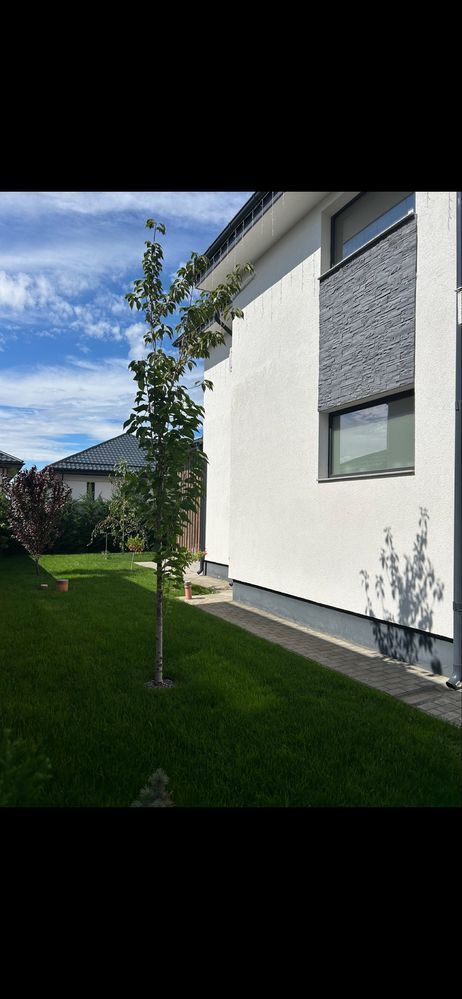 Vila moderna de vanzare | mobilata si utilata | Corbeanca - Tamasi - Poză 6