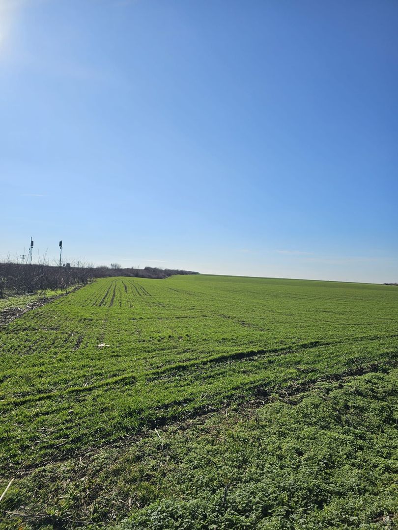 Teren extravilan 8600 mp Livada de Bihor - Poză 3