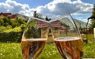 Casă/Vilă la cheie/115mp în Poiana Mărului, jud Caras Severin - Poză 9