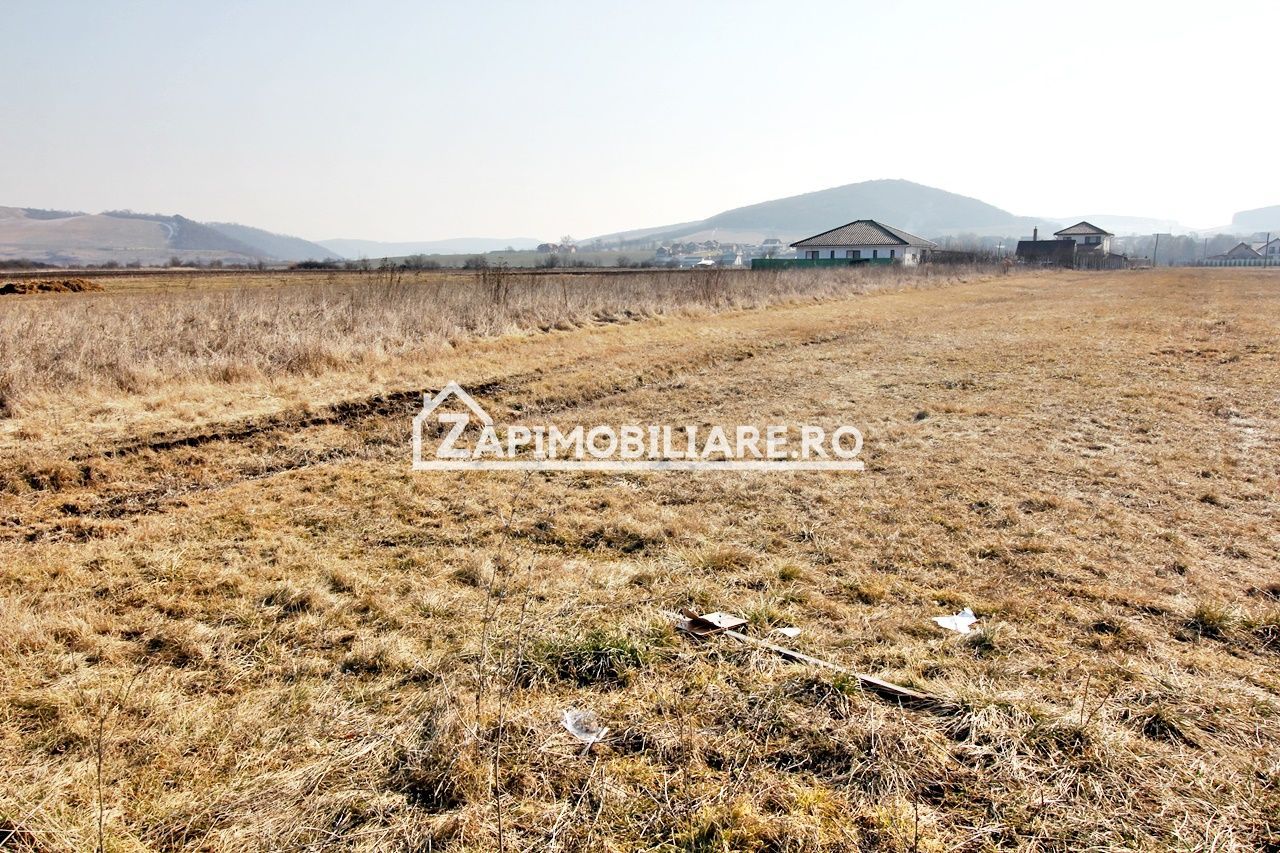 Teren  Intravilan 2.075 mp. 59.euro mp.Sangeorgiu de Mures - Poză 7