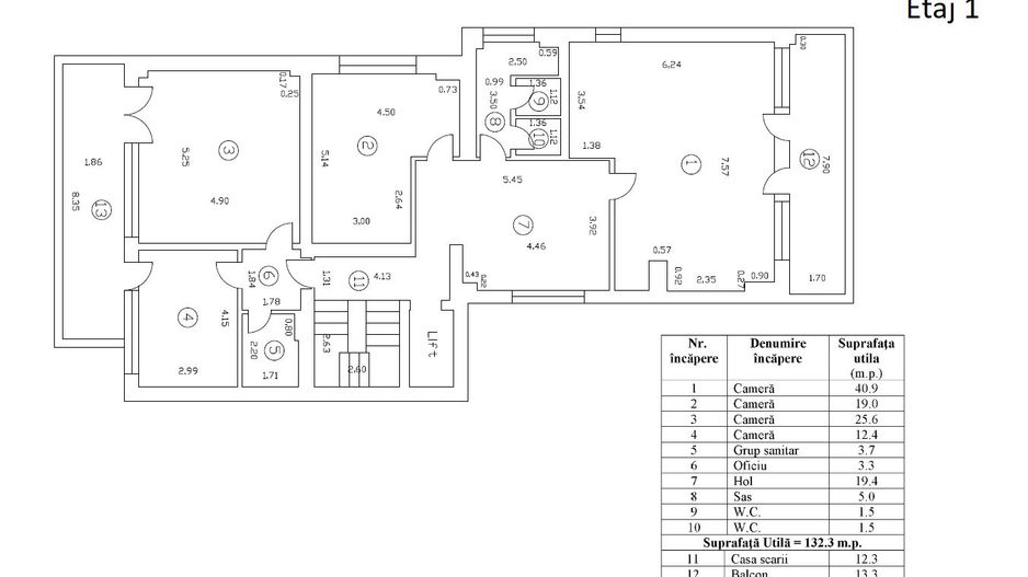 Vanzare Vila de exceptie - Domenii - Poză 23