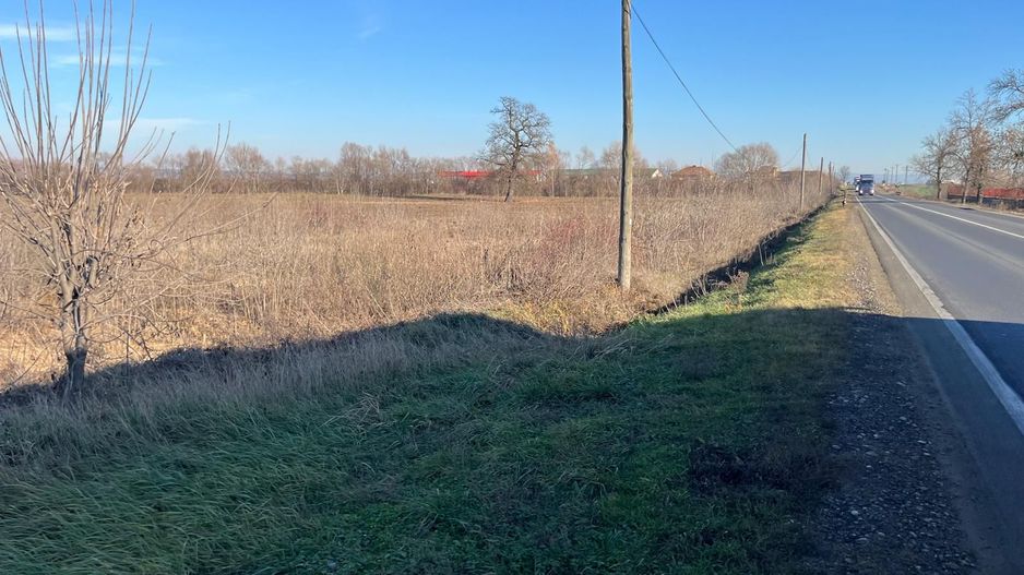 Teren intravilan, Săcădat, 27 921 mp. 9,5 Euro/mp. Comision 0. - Poză 8