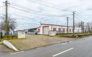 Hale depozitare/producție 2.000 mp si 10.000 mp teren în Pecica - Poză 11