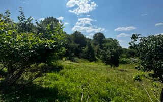 TEREN INTRAVILAN 2146 MP, ALBESTII DE MUSCEL, ARGES - Poză 3