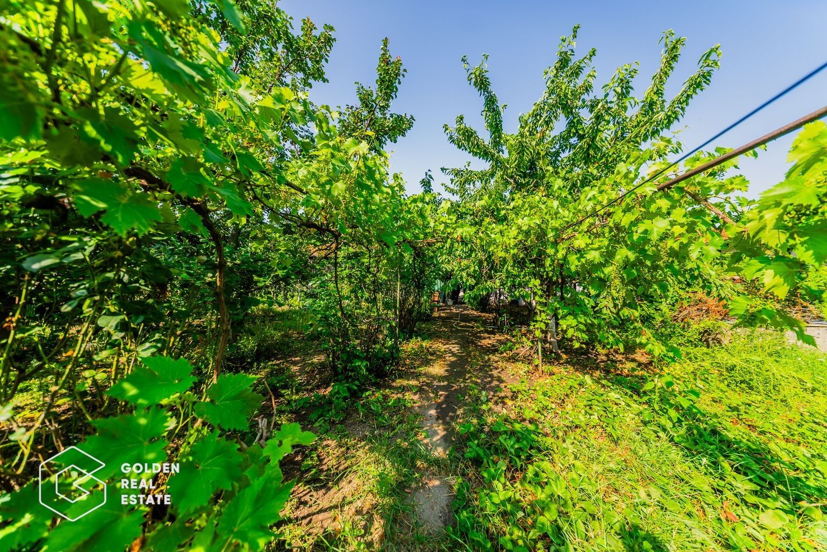 Casa cu teren 720 mp, caramida, str Dunarii (Gai) - Poză 17