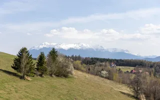 Teren Intravilan 3.791 mp | Priveliște Panoramică Superbă | Poiana Mărului - Poză 11