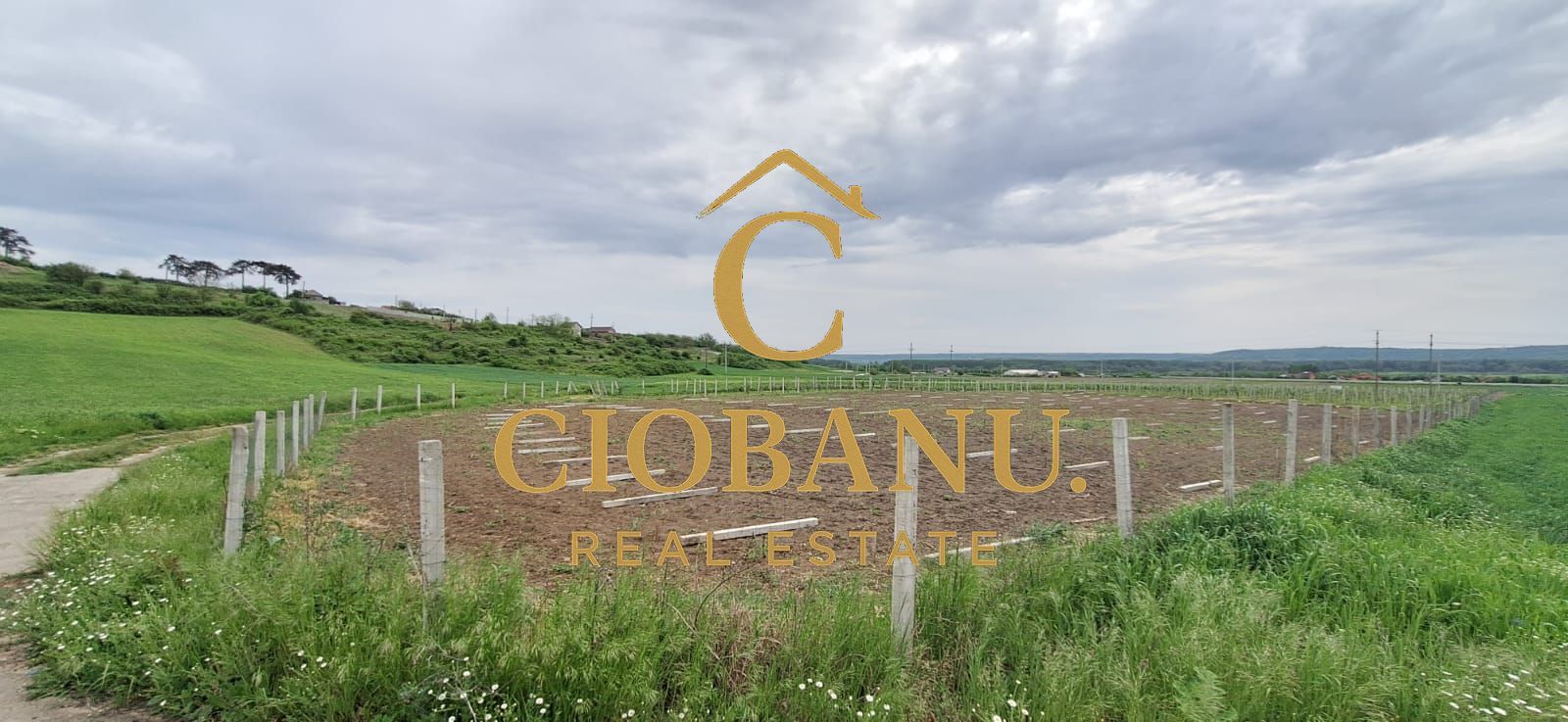Teren intravilan cu PLANTATIE DE GOJII de vanzare in Racari - Poză 16