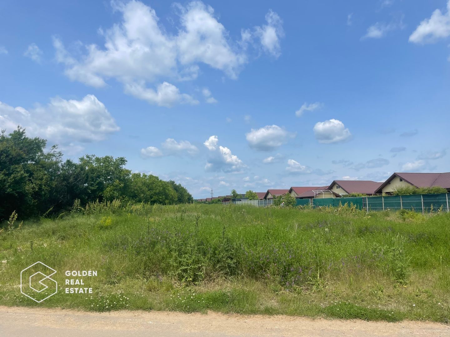 Teren intravilan, Balotești, Strada Cameliei 36, 10.000 mp - Poză 5