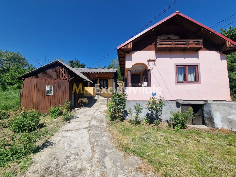 Căsuță autentică românească între două dealuri–colț de liniște  în Botesti, Arge - Poză 2
