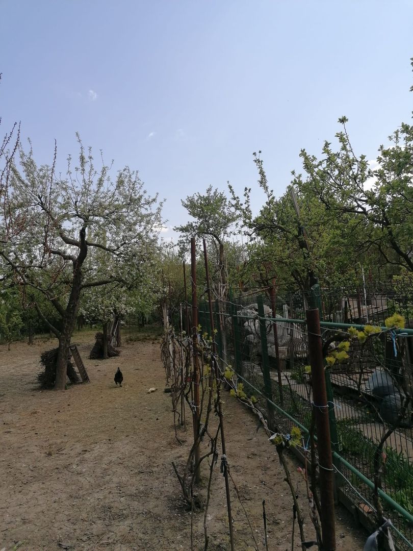 Ag EUROPA vinde casa 6 cam teren 11 ari în zona 14 Mai. - Poză 10