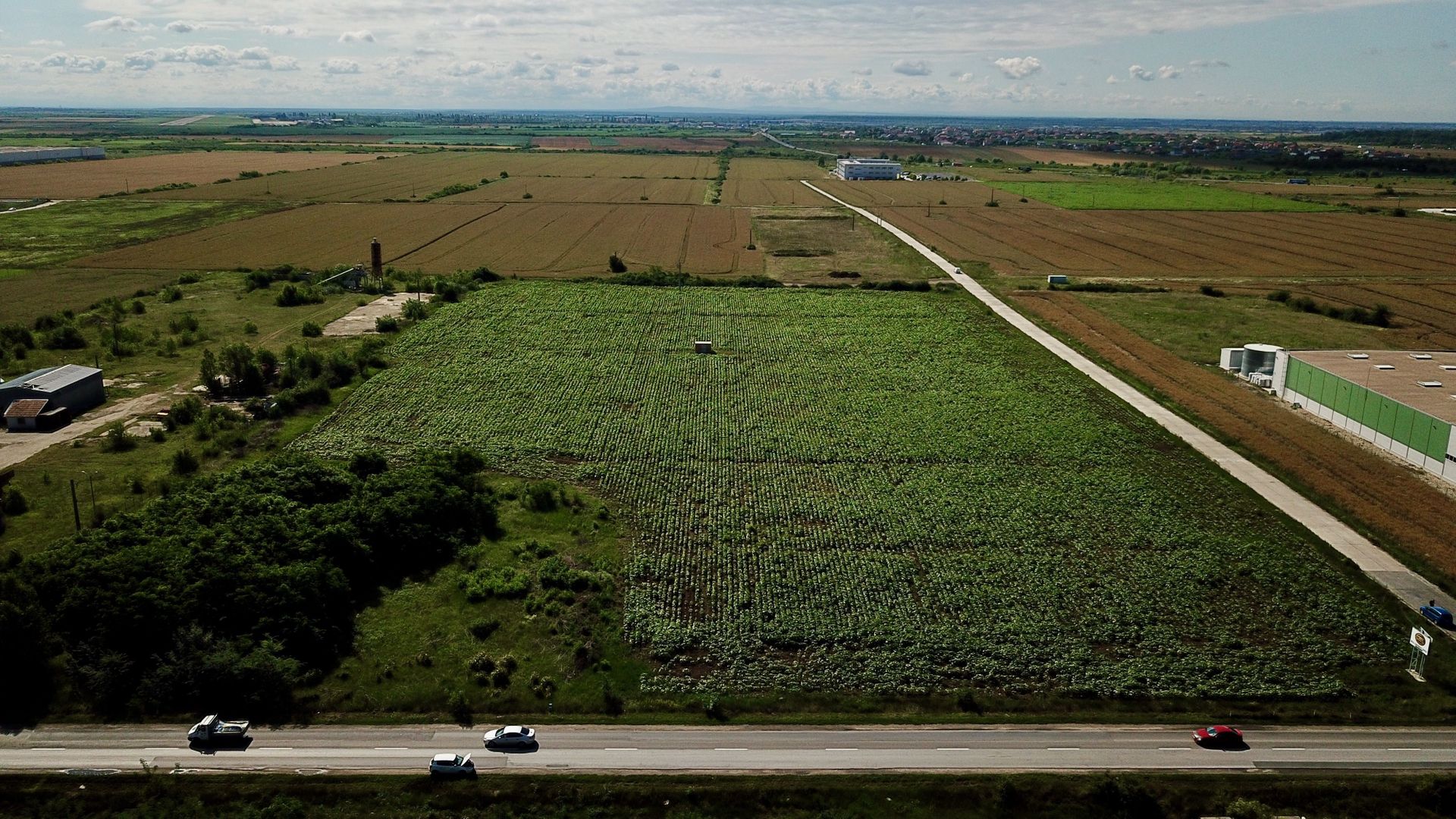 Parcele teren industrial cu PUZ - 3272 mp, Giarmata - Poză 5