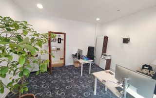 Parcul Carol,imobil versatil rezidential /birouri,parcare si curte - Poză 5